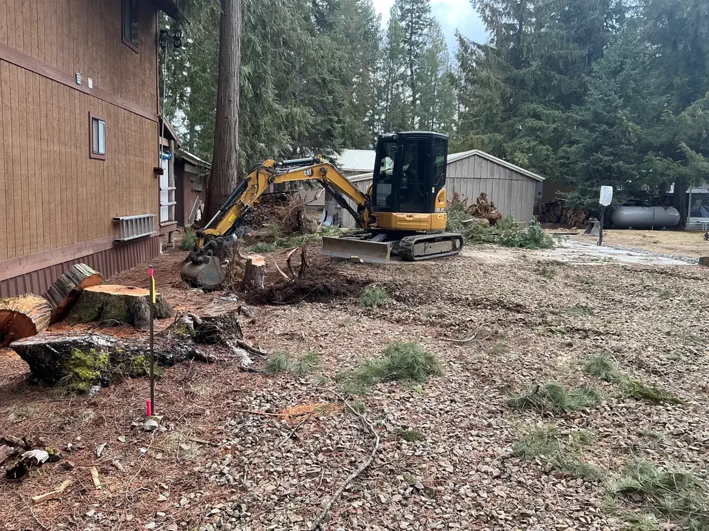 CAT excavator clearing stumps after dead pine removal in Spokane