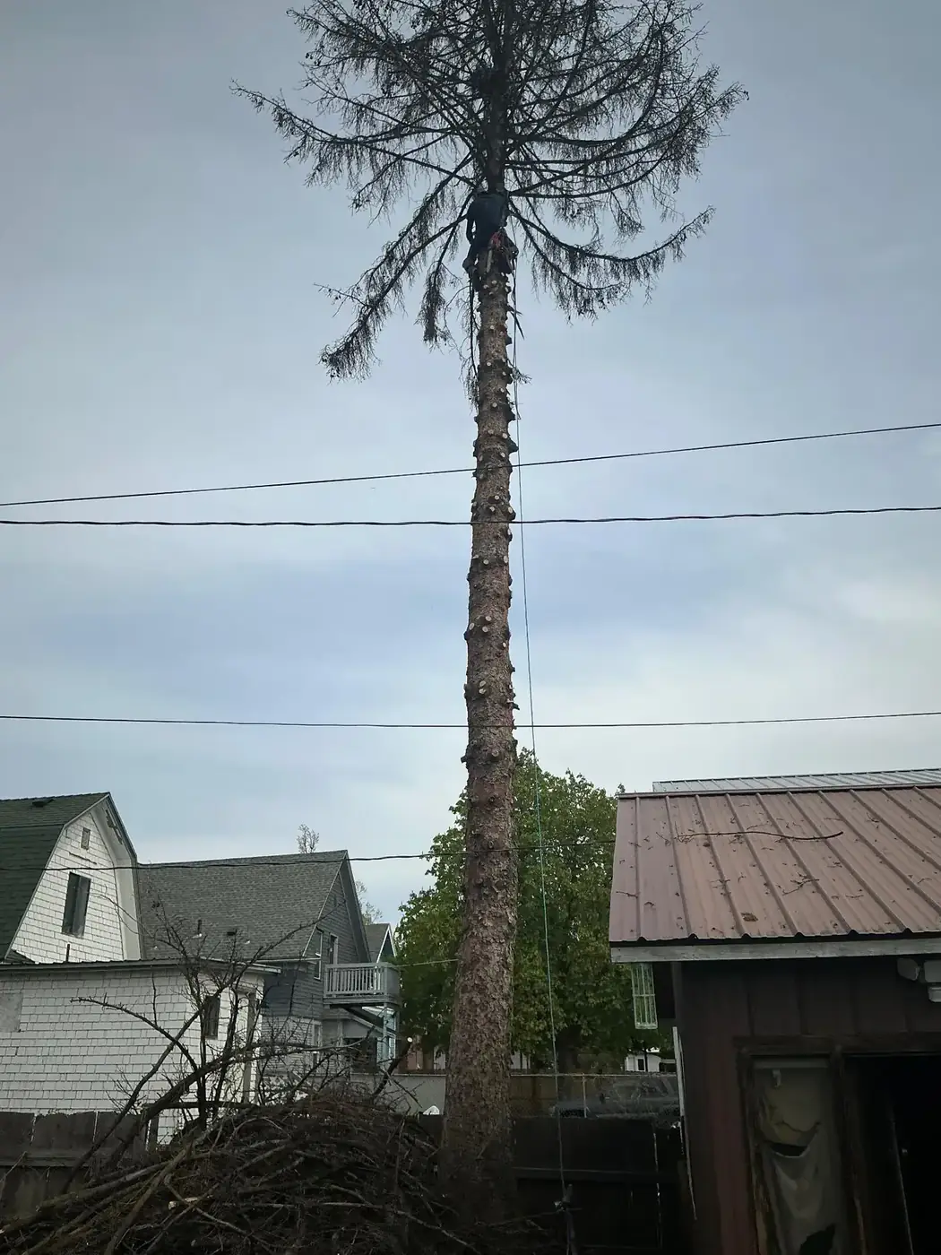 Hazardous dead tree snag rigged down between two Spokane homes with tight clearance