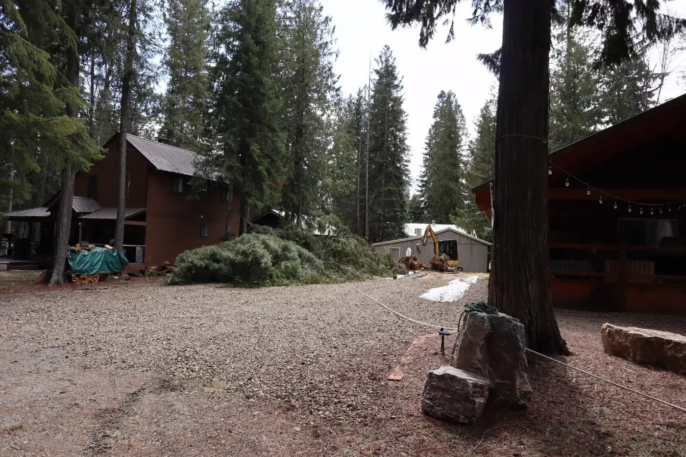 Forested Spokane cabin property cleared after multi-tree hazardous removal
