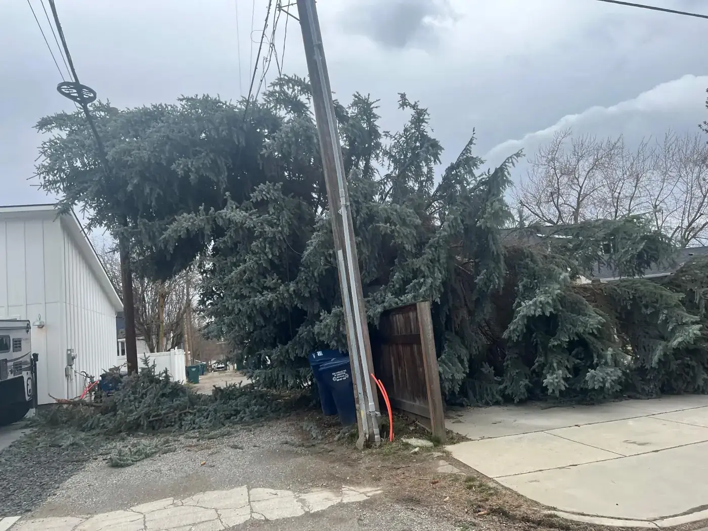 Storm-damaged tree fallen on power lines in Spokane neighborhood