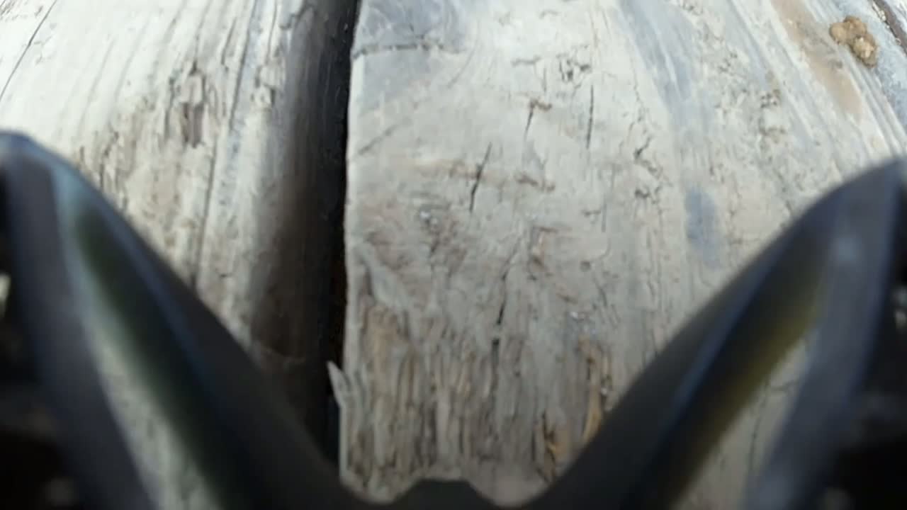 Aerial drone view of a Spokane ponderosa pine tree removal